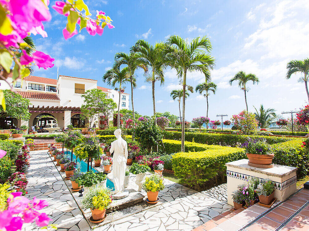 色彩豊かな花々が咲き誇る花の祭典♪ホテル日航アリビラで「パティオ