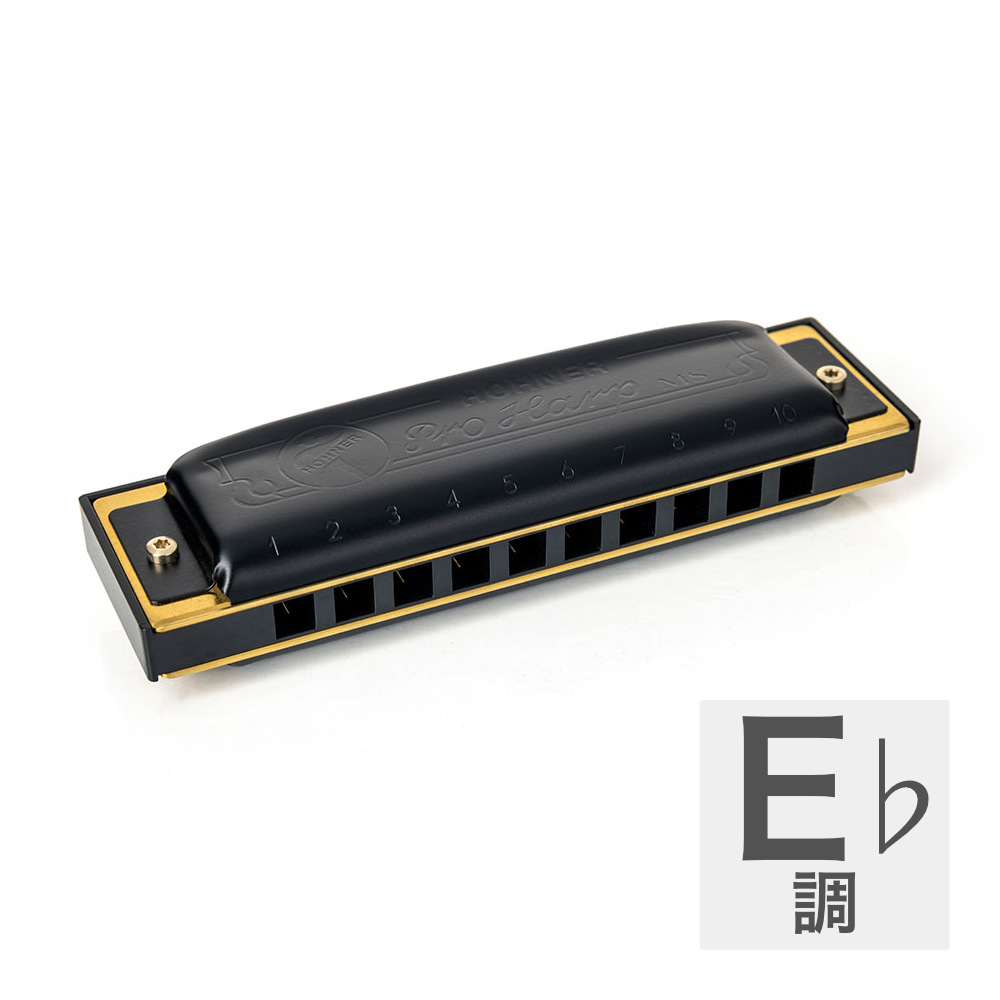 HOHNER ホーナー Pro Harp 562/20P E♭ 10ホールハーモニカ ブルース