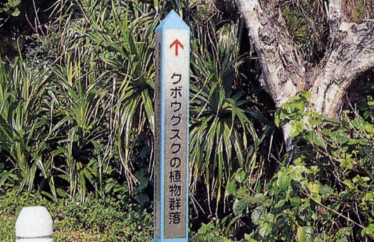 市指定の文化財 | うるま市の伝統文化