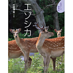 エゾシカ／竹田津実｜絵本のギフト通販【クレヨンハウス】