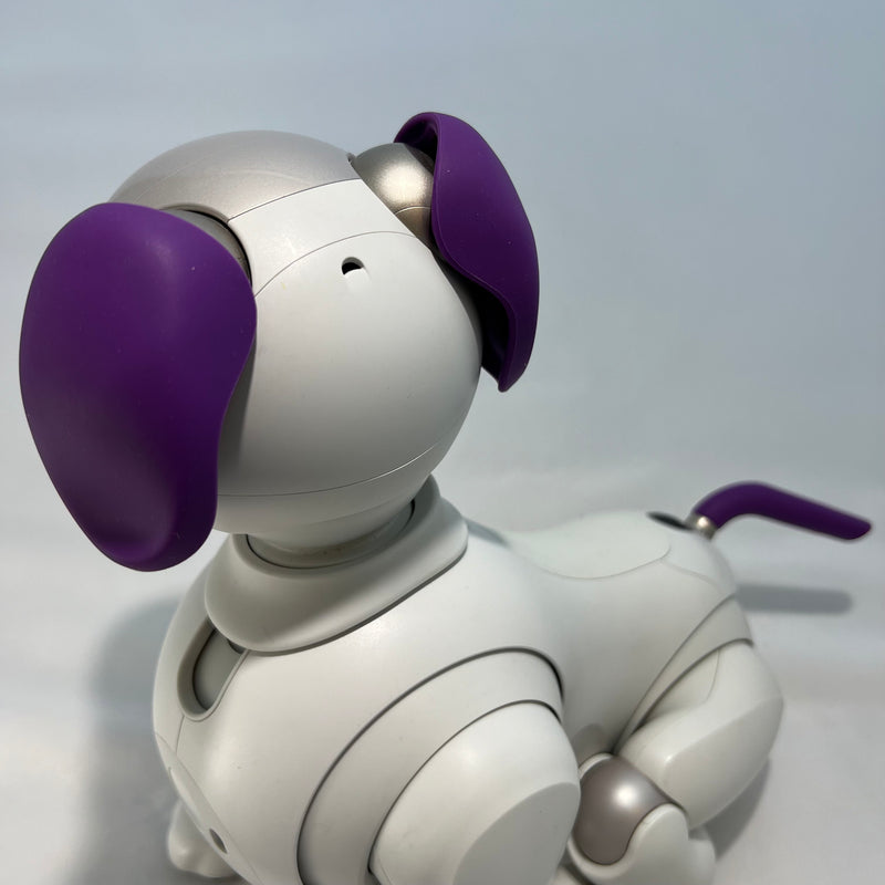 ERS-1000 Design Studio: Seamless Ear and Tail Set – Aibo Accessories