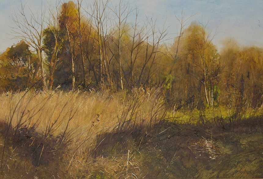 日本水彩画会 | ART公募マガジン | 美術公募展のポータルサイト