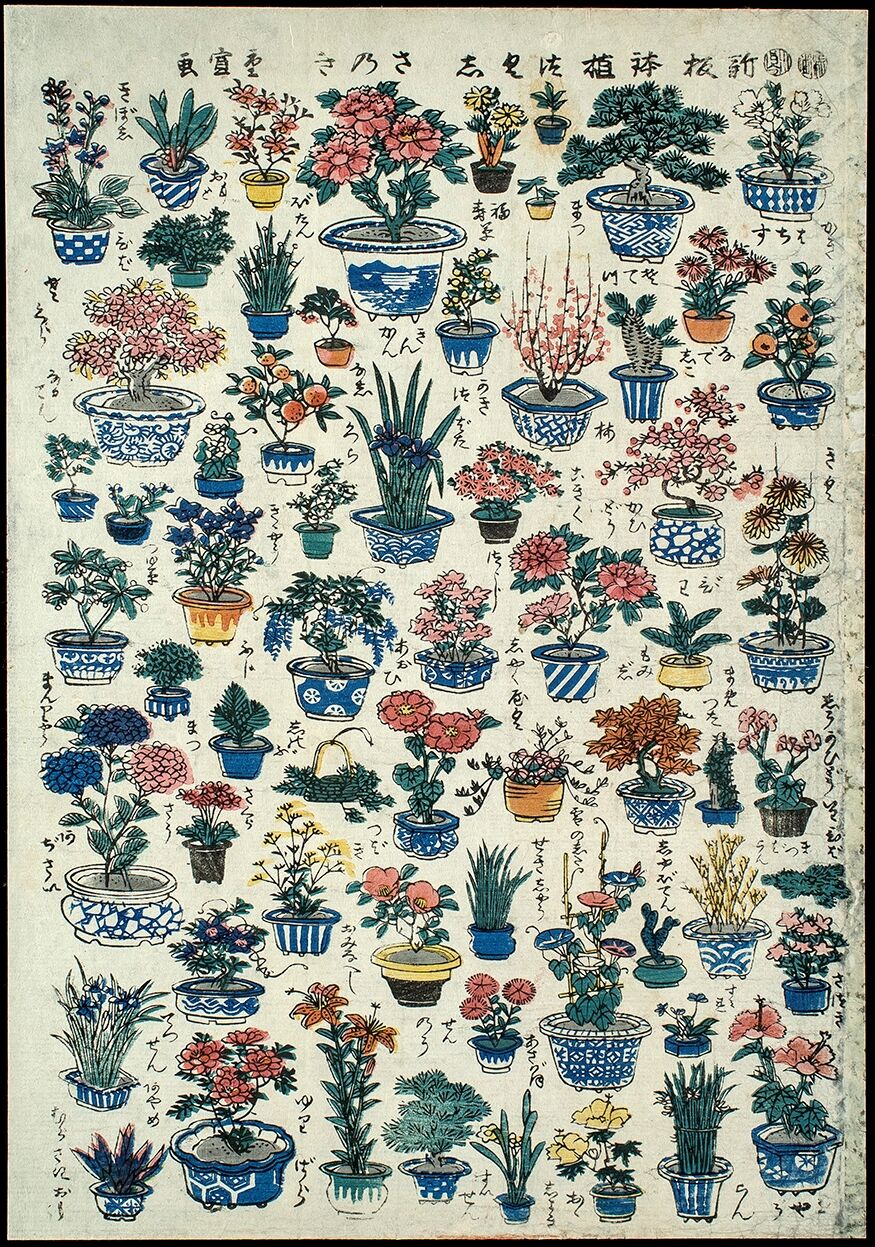 さいたま市大宮盆栽美術館