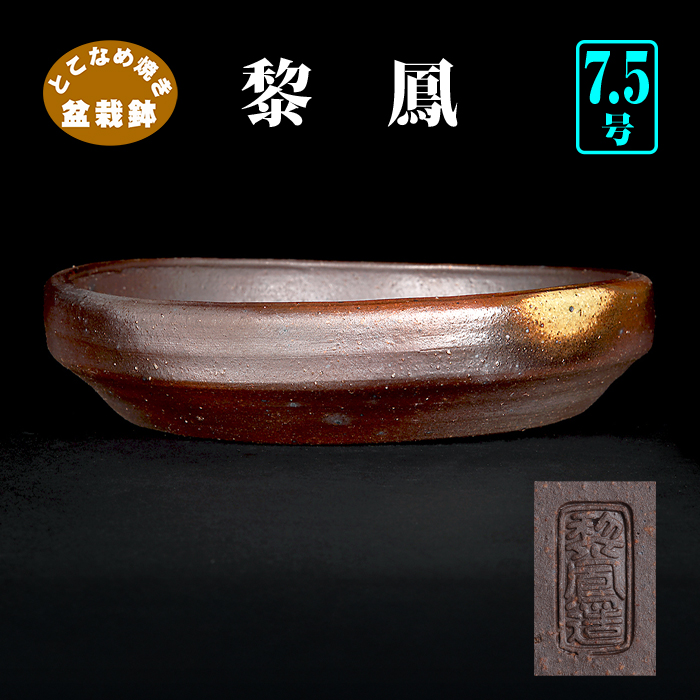 常滑鉢 | 盆栽、盆栽書籍、盆栽鉢の通販│近代出版