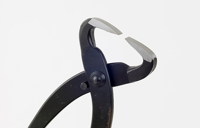 幹割 (大) | 盆栽、盆栽書籍、盆栽鉢の通販│近代出版