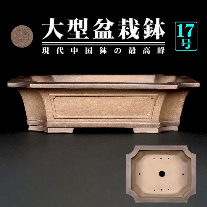 烏泥外縁隅切額面長方鉢 | 盆栽、盆栽書籍、盆栽鉢の通販│近代出版