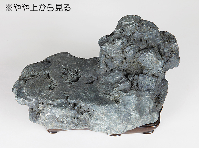 千軒石 | 盆栽、盆栽書籍、盆栽鉢の通販│近代出版