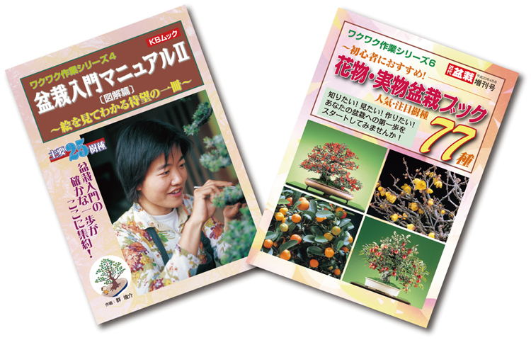 柴勝額面正方鉢 | 盆栽、盆栽書籍、盆栽鉢の通販│近代出版