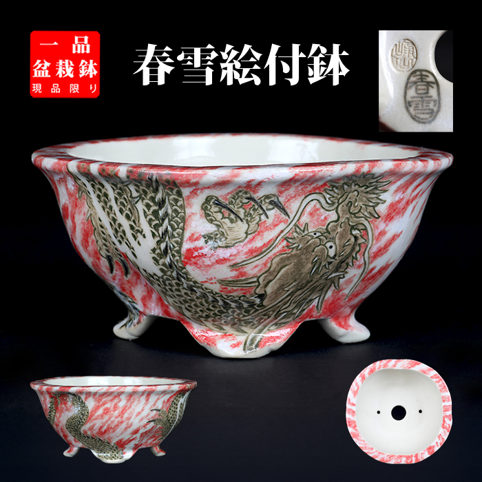 春雪色絵龍図変わり鉢 | 盆栽、盆栽書籍、盆栽鉢の通販│近代出版