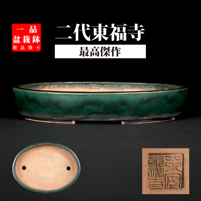 平安東福寺 | 盆栽、盆栽書籍、盆栽鉢の通販│近代出版