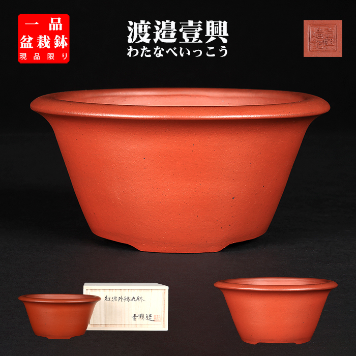 美芸鉢 懸崖鉢 和鉢 ミニ鉢 2点セット 美芸鉢 懸崖鉢 和鉢 ミニ鉢 2点