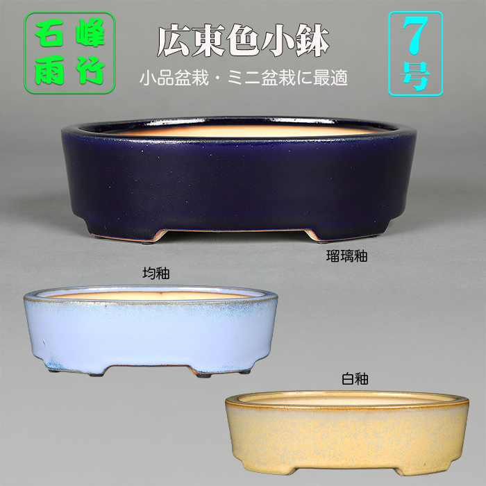高級色小鉢 | 盆栽、盆栽書籍、盆栽鉢の通販│近代出版