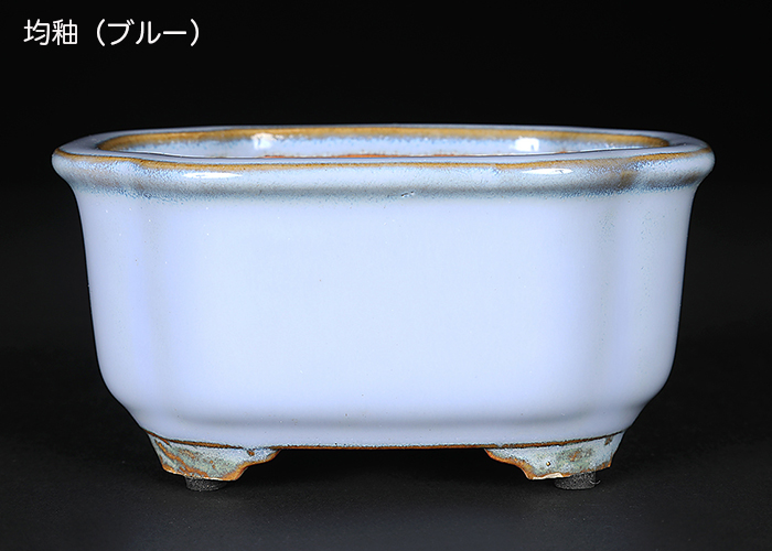 広東隅切長方鉢〔石峰雨竹〕 | 盆栽、盆栽書籍、盆栽鉢の通販│近代出版