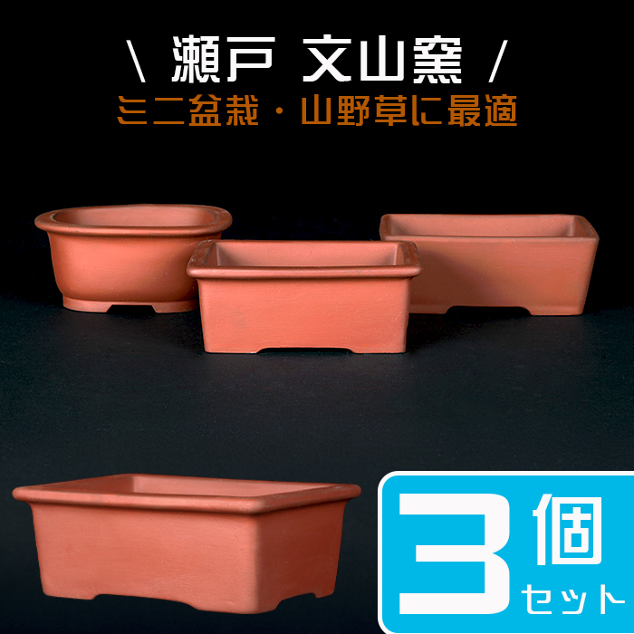 文山窯 | 盆栽、盆栽書籍、盆栽鉢の通販│近代出版