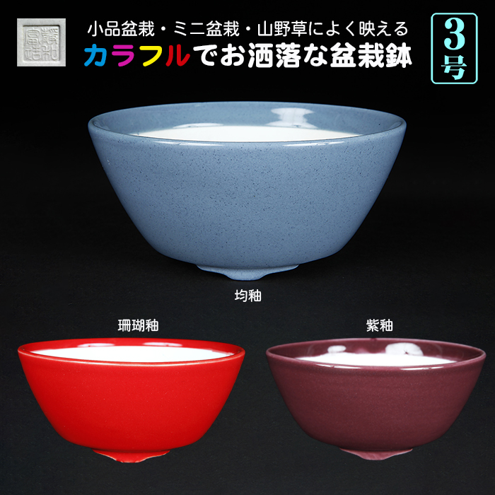 カラフル色小鉢〔静和富造〕 | 盆栽、盆栽書籍、盆栽鉢の通販│近代出版