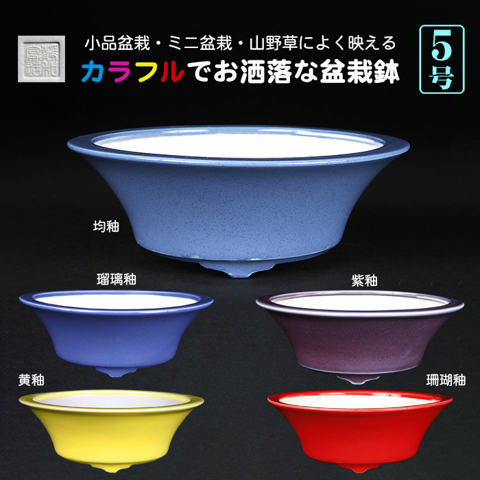 カラフル色小鉢〔静和富造〕 | 盆栽、盆栽書籍、盆栽鉢の通販│近代出版
