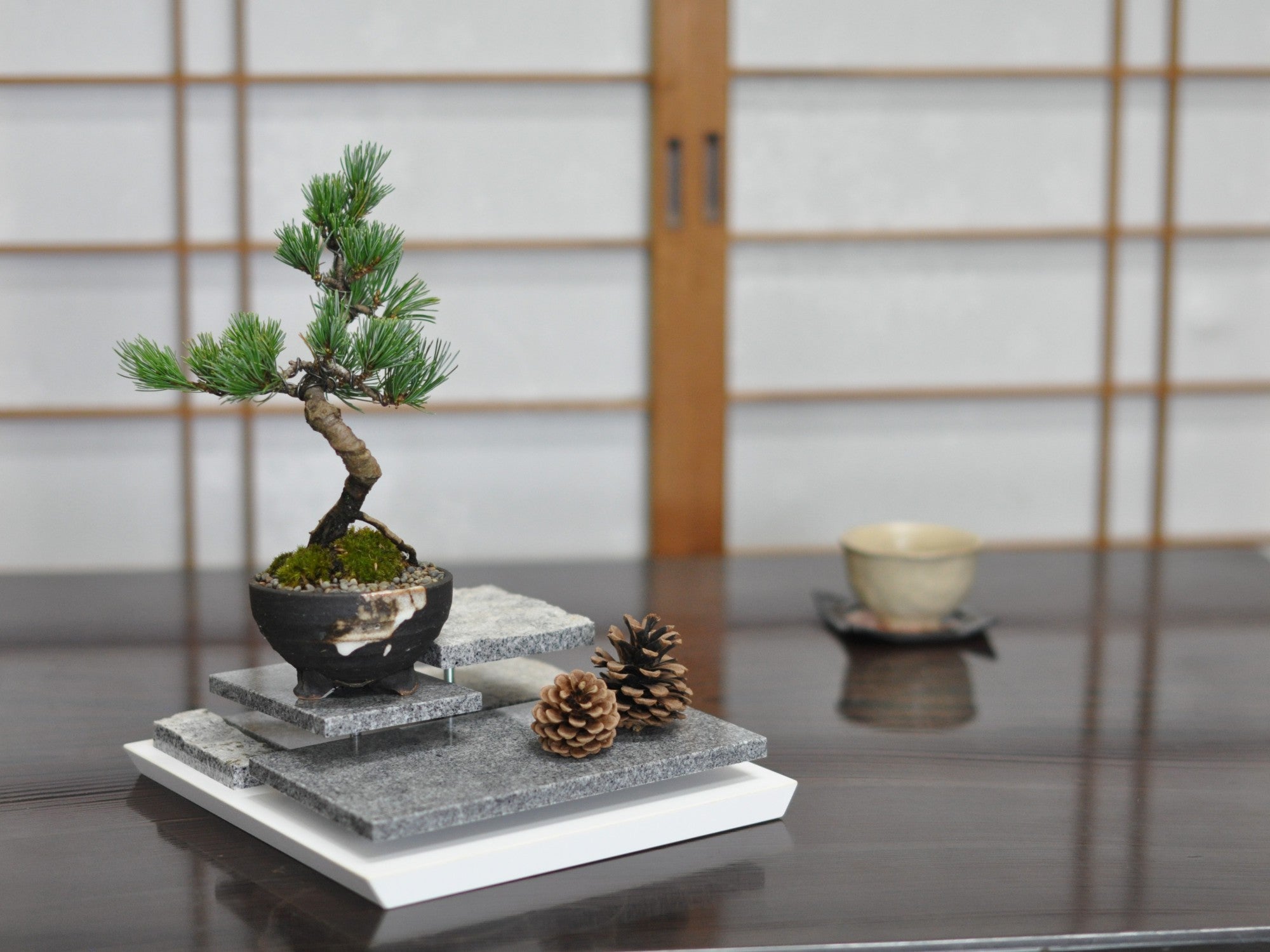 庵治石 小物トレイL 段違い飾り棚 の販売｜盆栽妙 – 盆栽妙 本店