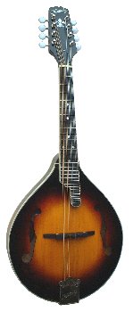 フラットマンドリン～Kentucky Mandolin～【ガッキコム】