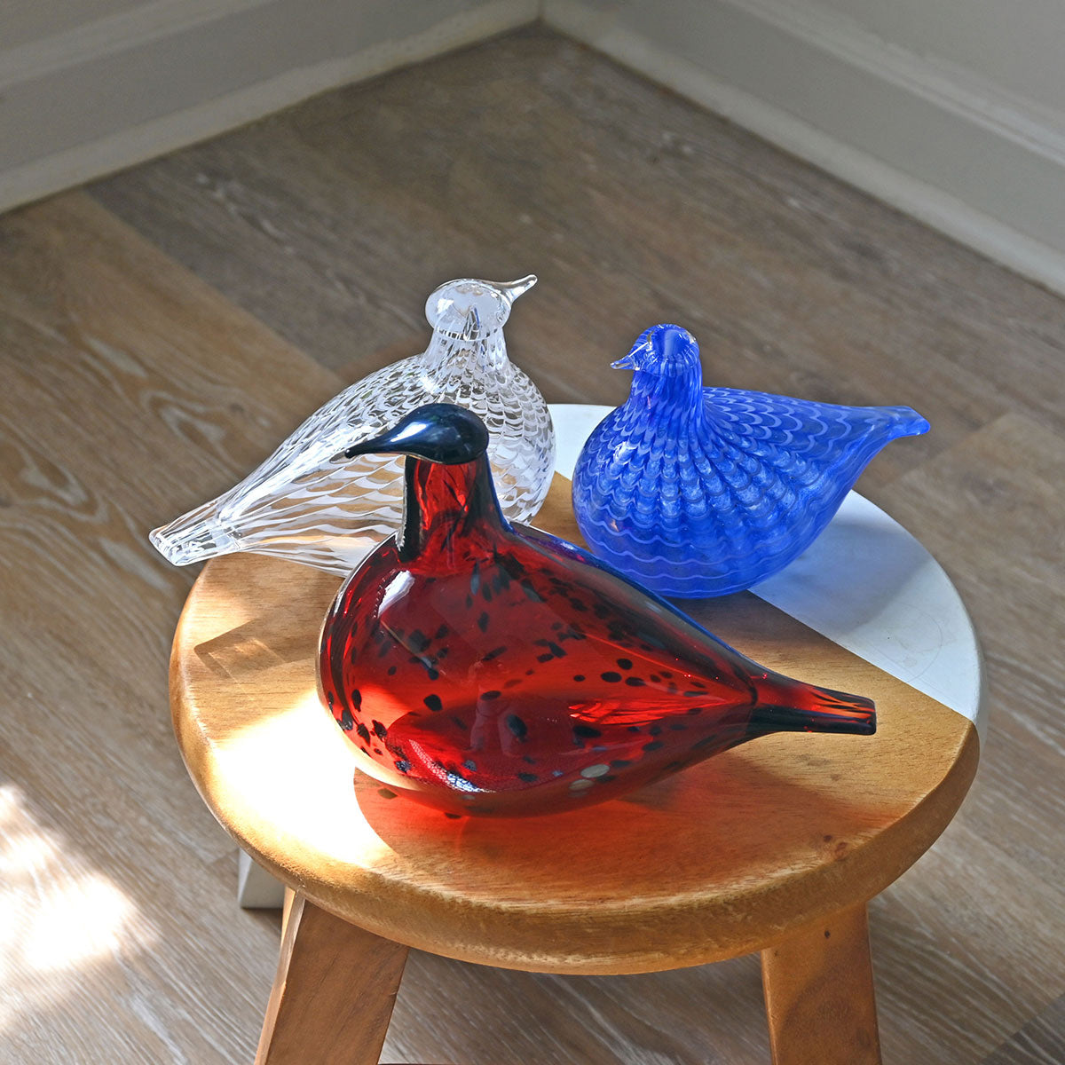 iittala Toikka Blue Bird - Oiva Toikka Glass Birds – GlassBirds.com