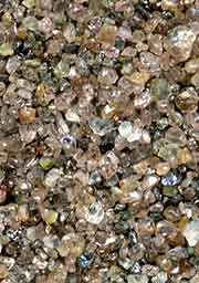 世界の砂と日本の砂 昭和基地付近 南極大陸