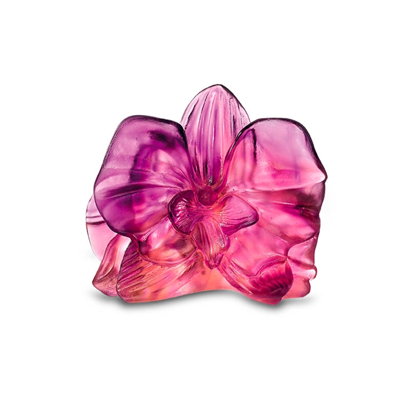 ドームクリスタル：daum|ホーム