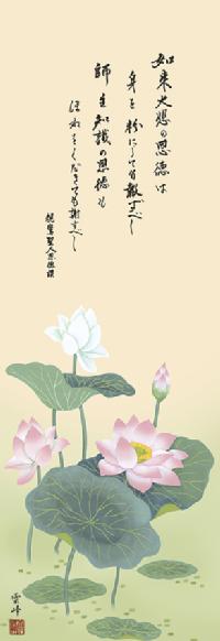 恩徳讃蓮華 清水雲峰 （三美会） （小さめサイズの尺三）！ その他人気