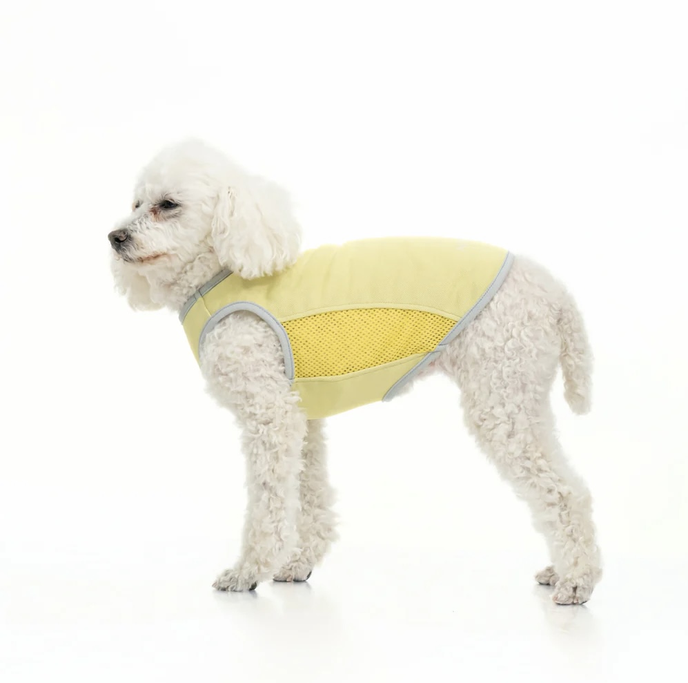 ナショナルフラッグニット帽 - INU－CLOSET