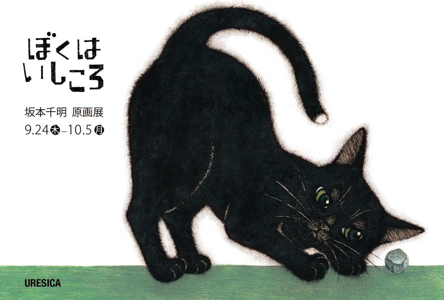 9/24～10/5 坂本千明さん『ぼくはいしころ』原画展、東京にて開催