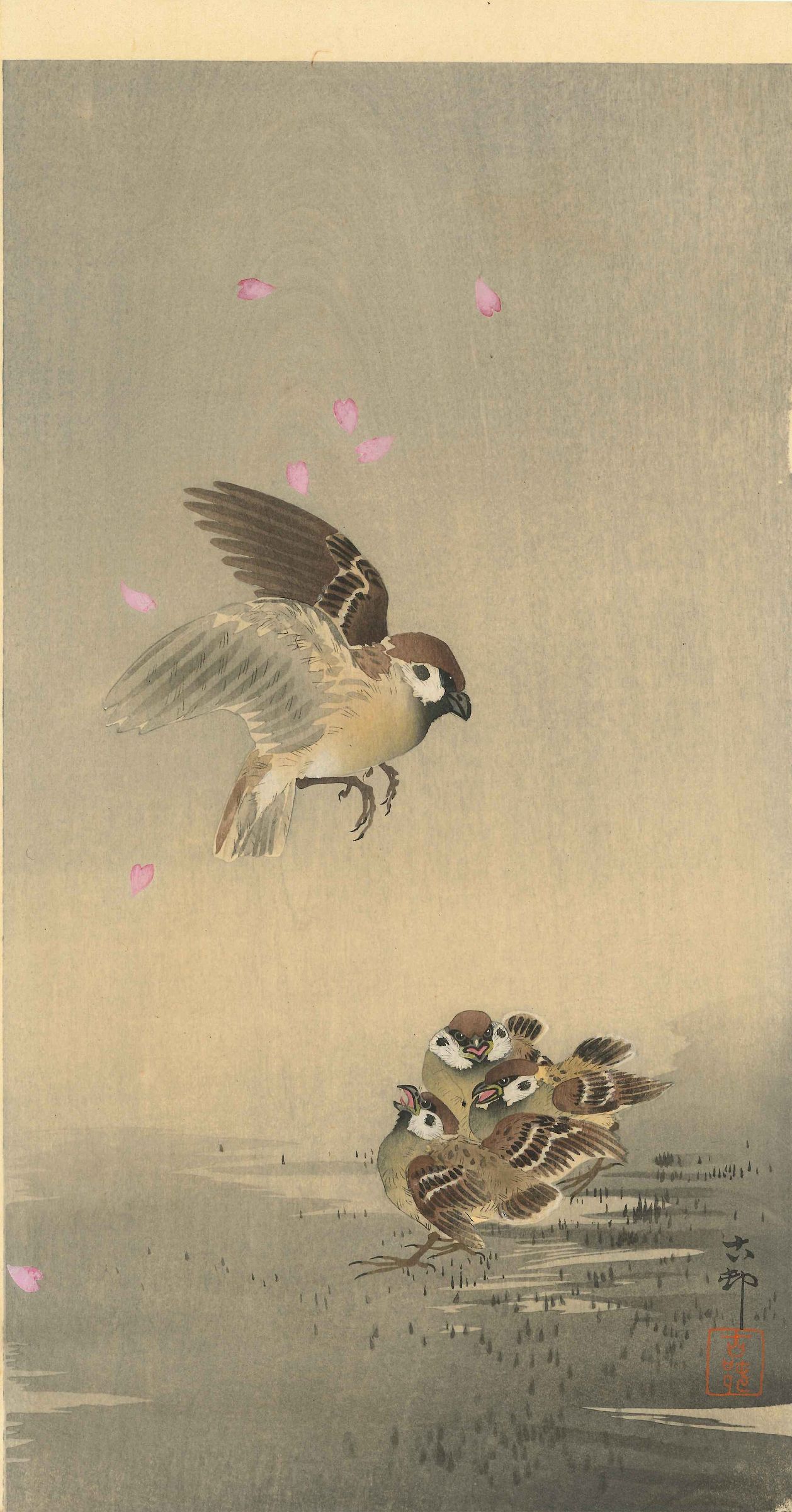 小原古邨 桜吹雪に雀の親子 | 浮世絵 | 原書房 神田神保町