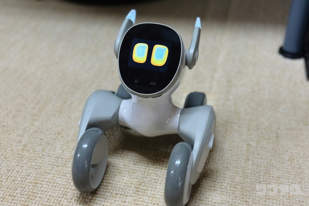 ペットロボット Loona（ルーナ）をレビュー｜Blueも登場♪豊か過ぎる