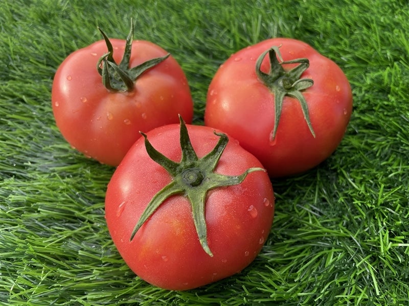 ひがしみの王様トマト【期間限定 約4kg】: 飛騨・美濃うまいもん