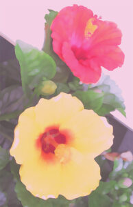 ラッセン ヴァルア モアナ | 絵画など美術品の販売と買取 | 東京・銀座