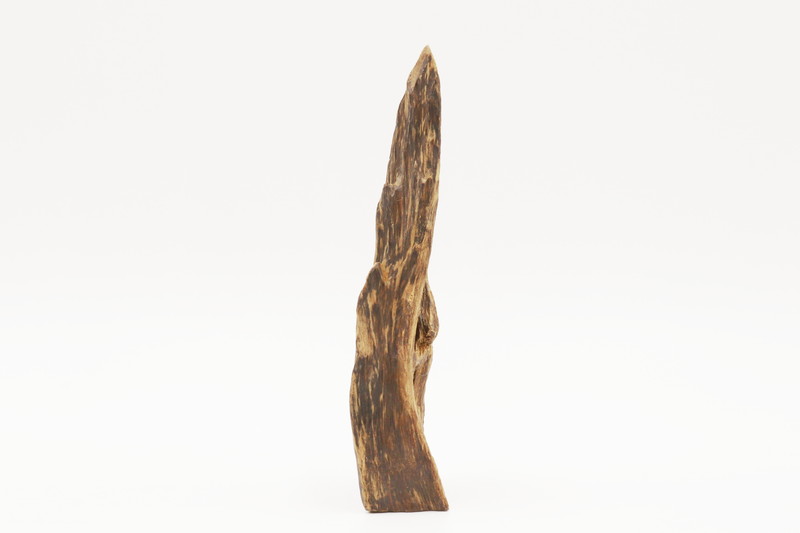 極品タニ沈香木 37.4g｜いつき