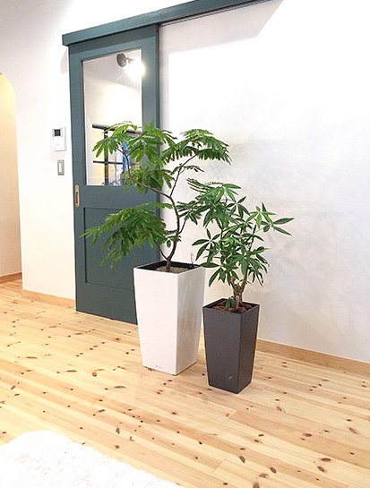 キュービコ | レチューザ・プレミアム | 松尾貿易商会