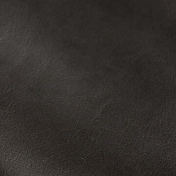 DANNA チェアの通販 / マスターウォール