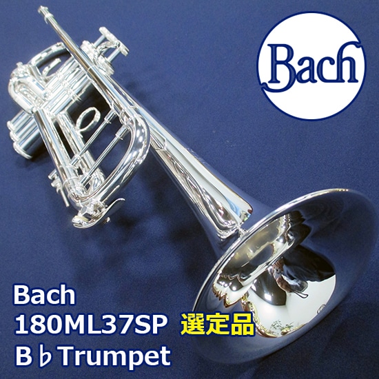 Bach トランペット 180ML37SP 選定品 バック B♭Trumpet: 管楽器｜三木