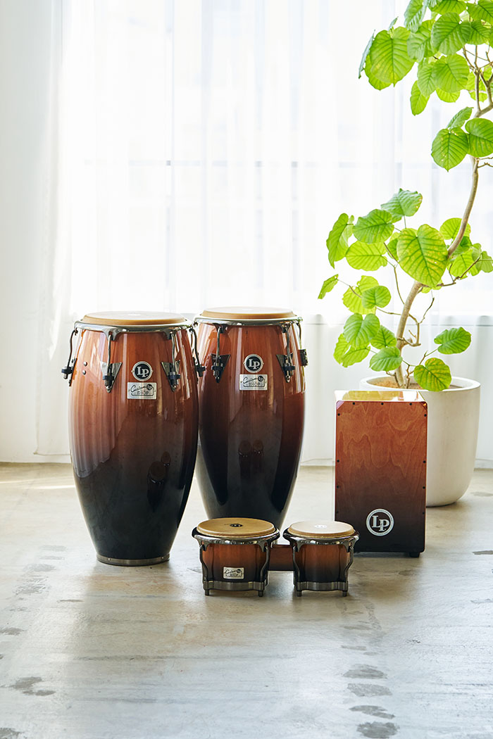 LP201AX2-BKFD / 7-1/4+8-5/8 チェリーウッドボンゴ: ドラム