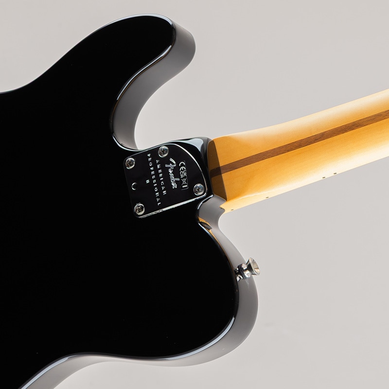 American Professional II Telecaster /Black/Maple Fingerboard