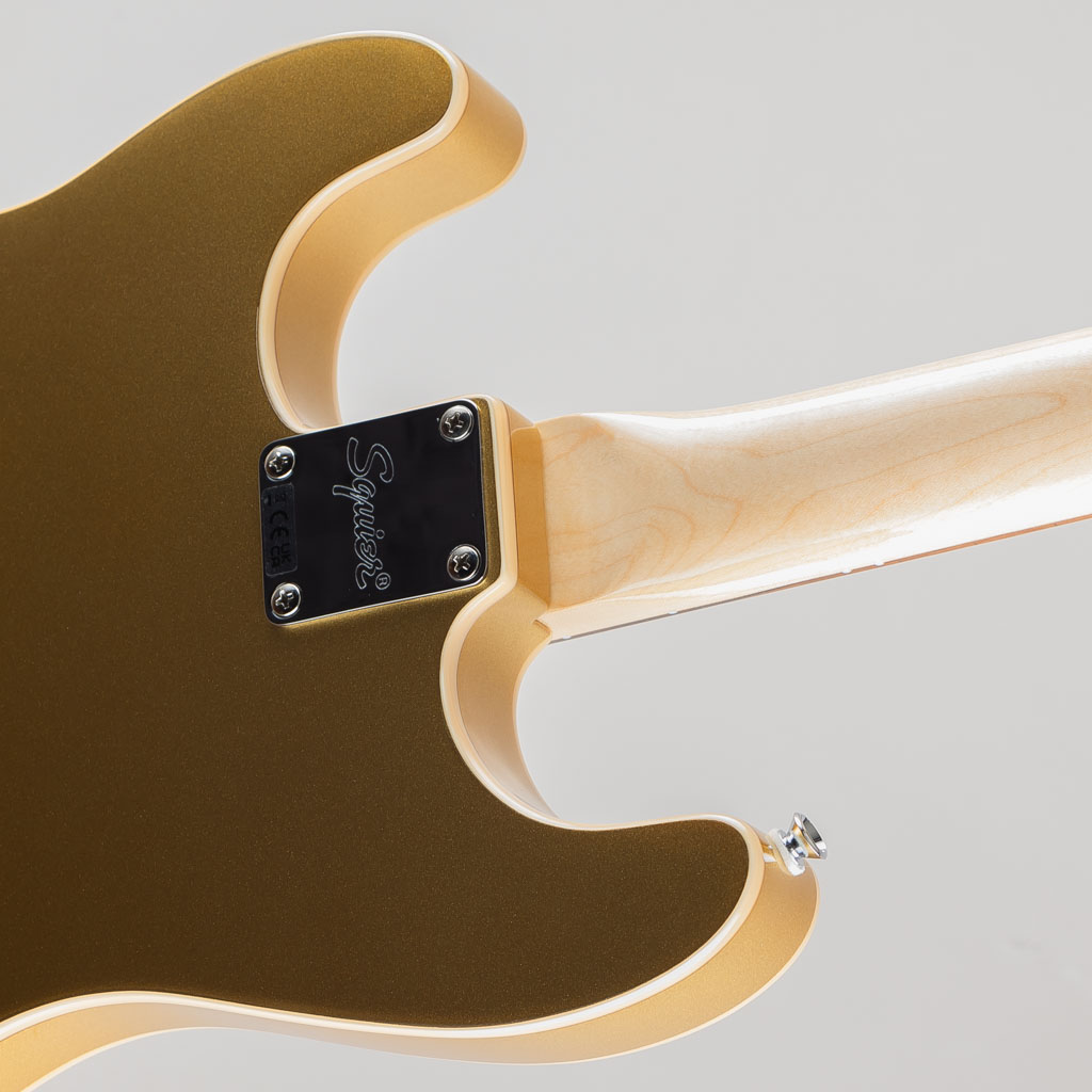 Paranormal Custom Nashville Stratocaster/LRL/Aztec Gold: エレキ