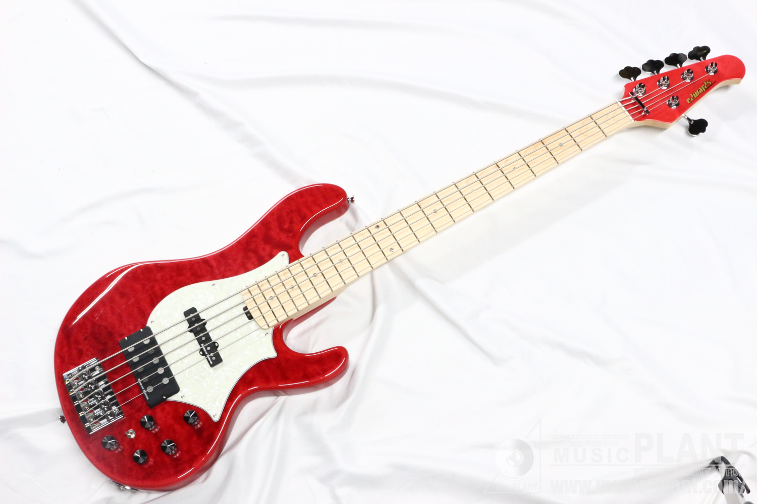 EDWARDS Artist Signatureシリーズ 5弦エレキベースE-Bardic STFR新品