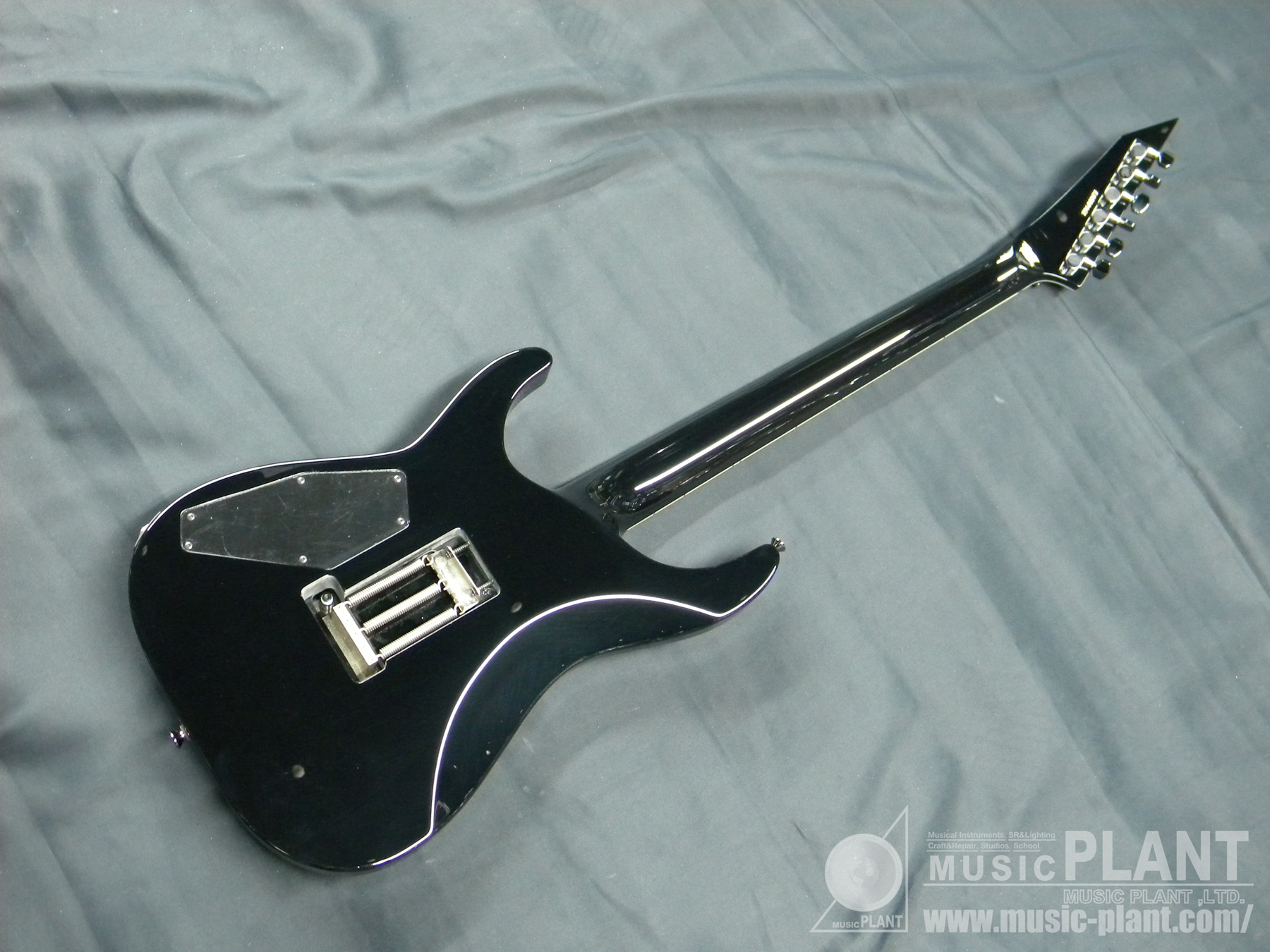 ESP Signatureシリーズ エレキギターHORIZON SGZ CUSTOM SUGIZO