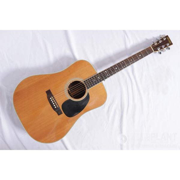 Morris アコースティックギターSpecial W-80中古品()売却済みです