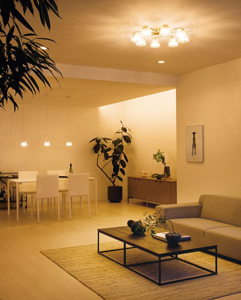 ODELIC オーデリック シャンデリア OC257139BR | 商品紹介 | 照明器具