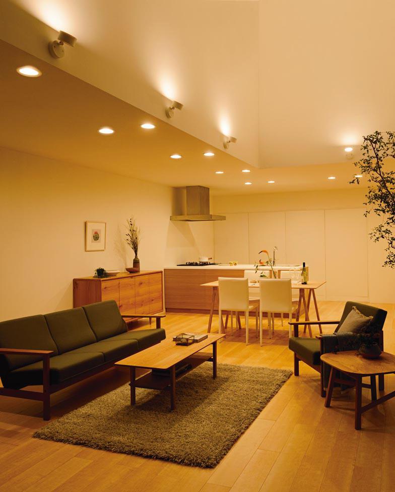 ODELIC オーデリック スポットライト OS256573NDR | 商品紹介 | 照明