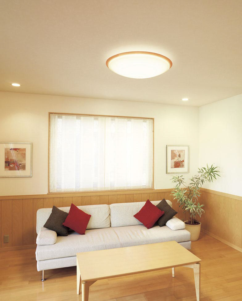 ODELIC オーデリック シーリングライト OL251623 | 商品紹介 | 照明