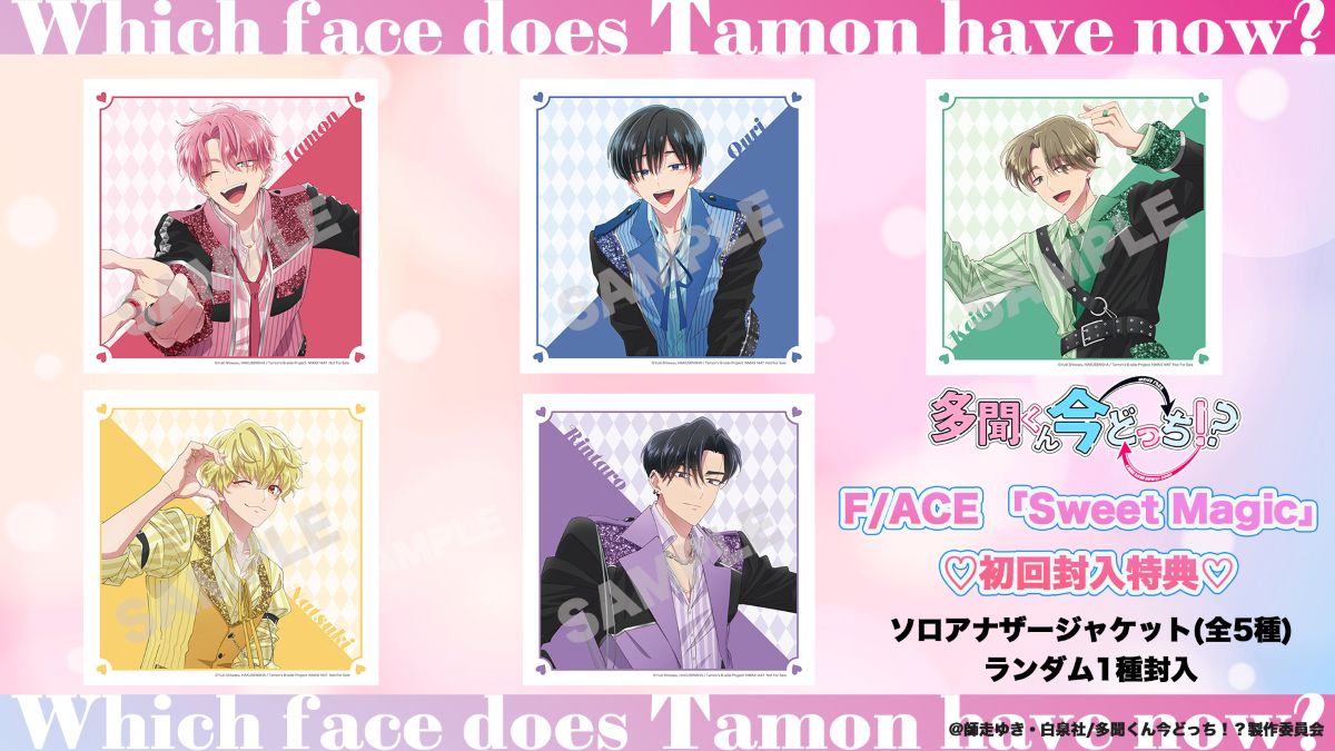 TVアニメ『多聞くん今どっち！？』、波多野 翔、千葉翔也、畠中 祐、天