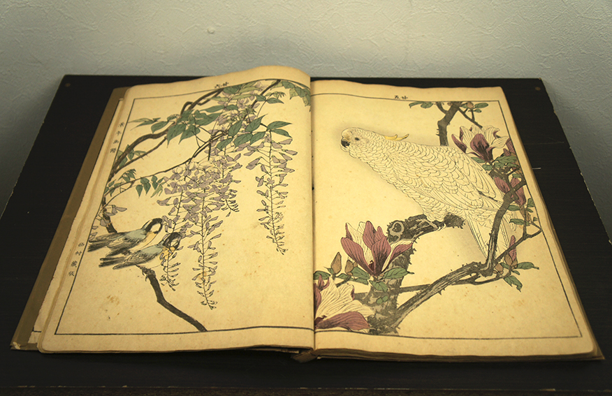 今尾景年 景年花鳥画譜春部 / Keinen Imao | Natsume Books