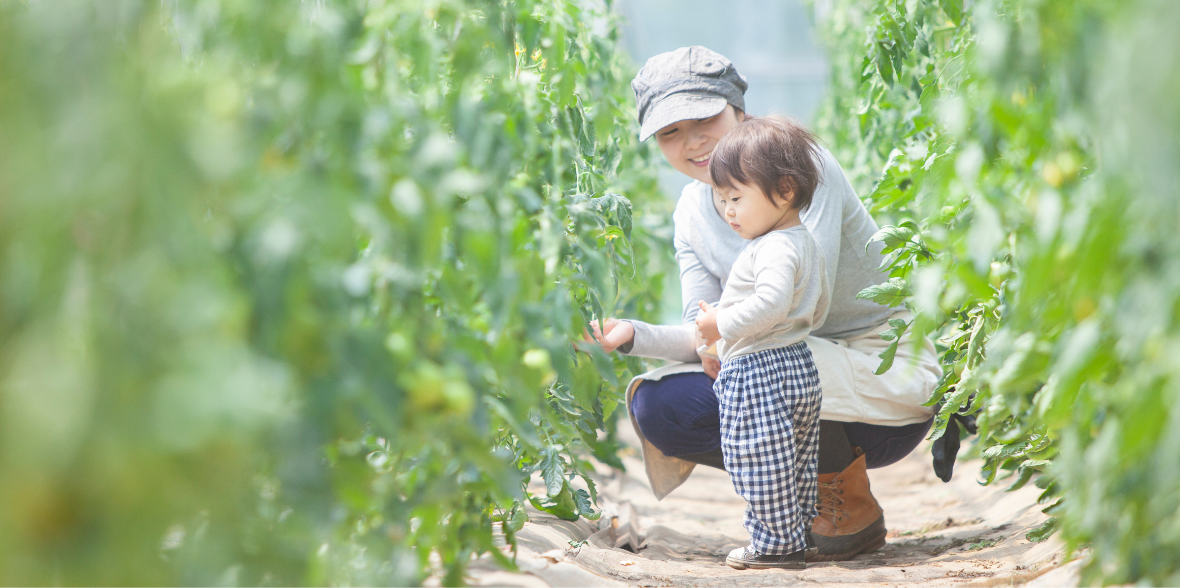 ネポン株式会社 NEPON Inc.