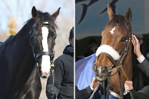 アーモンドアイ×イクイノックスの牡馬が誕生「宝物のような血統