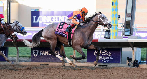 3カ月後のケンタッキーダービーの行方は不透明になった」無敗の2歳